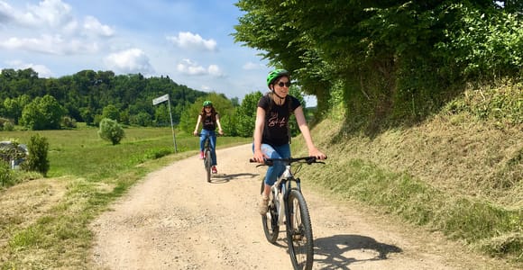 Salò: e-bike tour with wine tasting on Valtenesi Hills