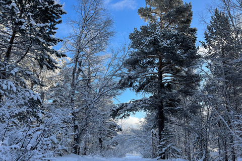 Sanzai: Selbe River Reservoir Hike with Lunch