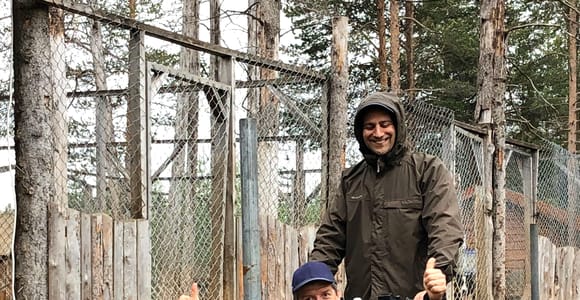 Kiruna: Drive your own Dog Cart with Fika and Kennel Tour