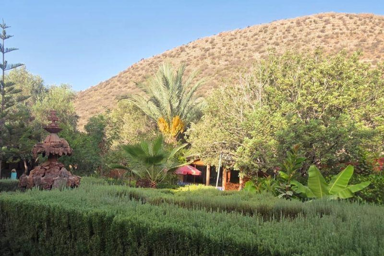 From Agadir/Taghazout: Paradise Valley Guided Tour with Hike