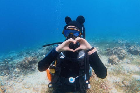 Cebu: Discover Scuba Diving Experience with Hotel Pickup