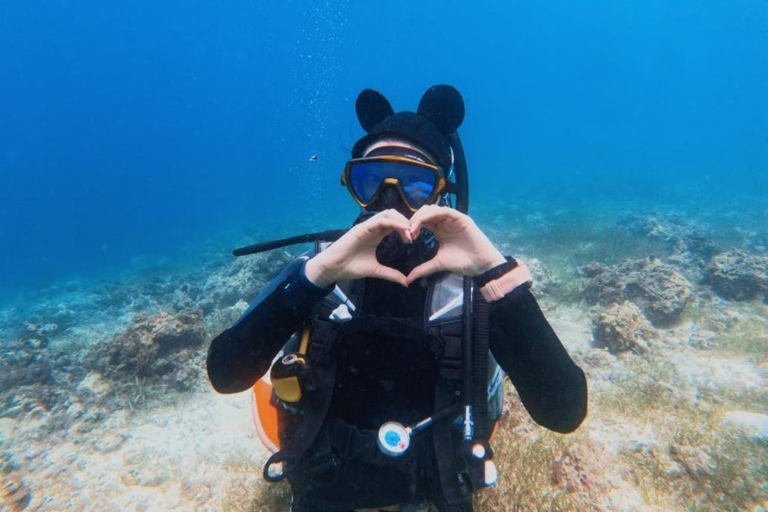 Cebu: Discover Scuba Diving Experience with Hotel Pickup