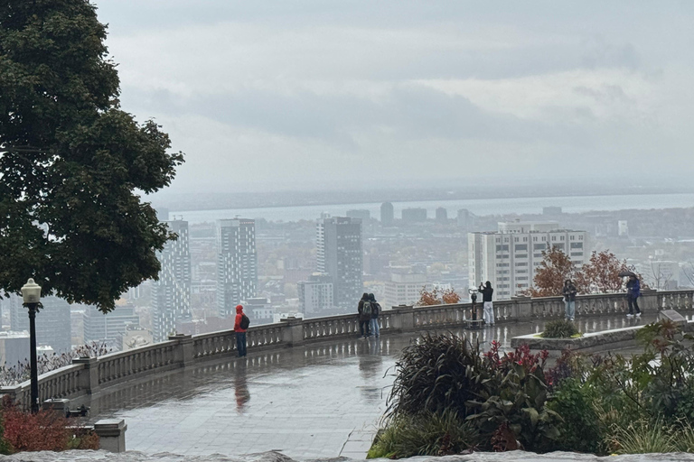 Montreal Private City Car Tour with Local Guide