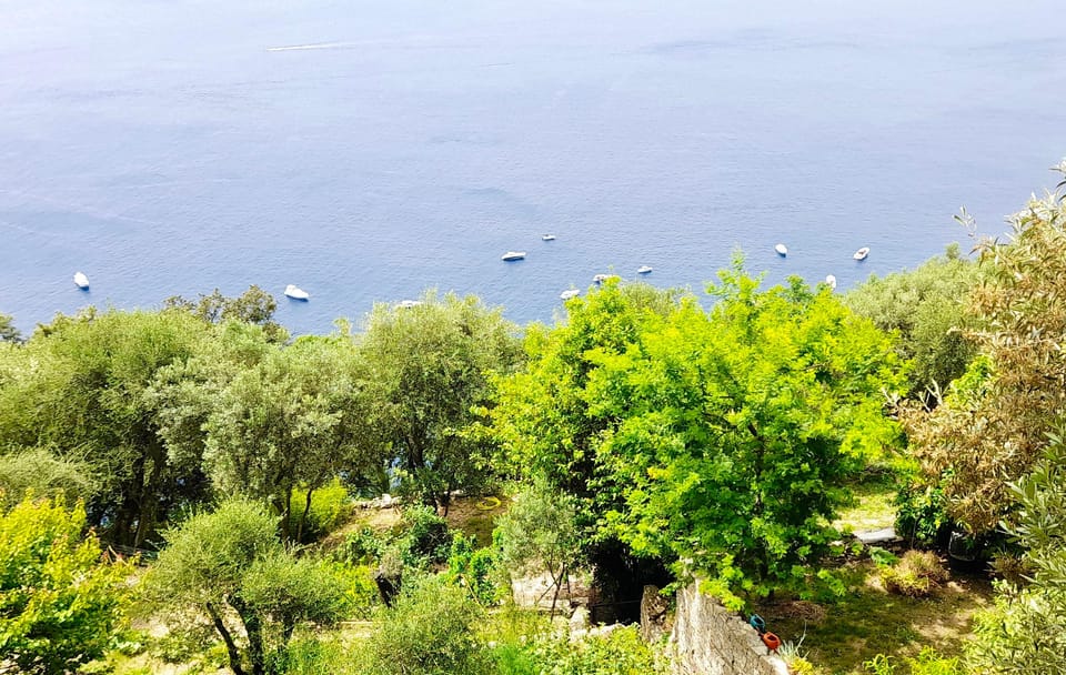 Portofino: E bike Tour along the Italian Riviera | GetYourGuide