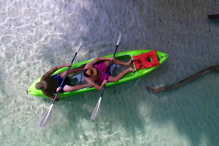 Florida: Rock Springs Run Clear Kayak Adventure