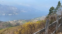 Bellagio, Exclusive picnic at the agrofarm with scenic view - Housity