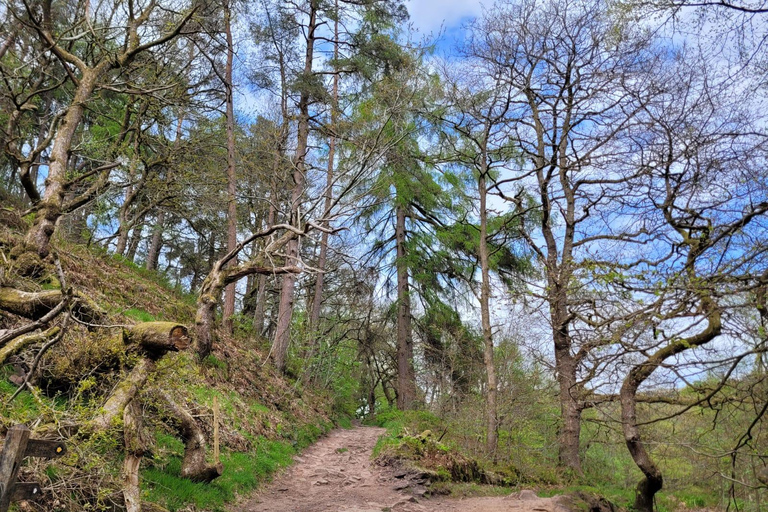 Manchester: Peak District 3-Walk 1 Day Tour
