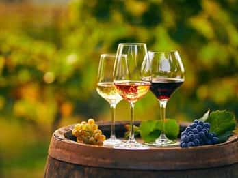 Da Chania: Tour di degustazione di olio d'oliva, vino, formaggio e miele