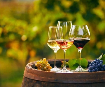 From Chania: Olive Oil, Wine, Cheese & Honey Tasting Tour
