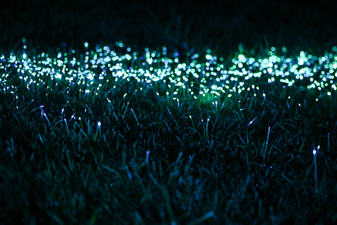 Porto: Serralves Em Luz Immersive Light Show Entry Ticket