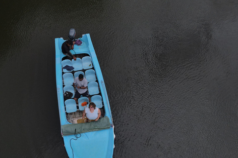 Excursão de um dia a Galle com tudo incluídoExcursão de um dia com tudo incluído a Galle a partir de Colombo e Negombo