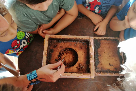 Santander: BioTour wild bees honey and more. Bee Masterclass + honey tasting or beeswax candle tasting