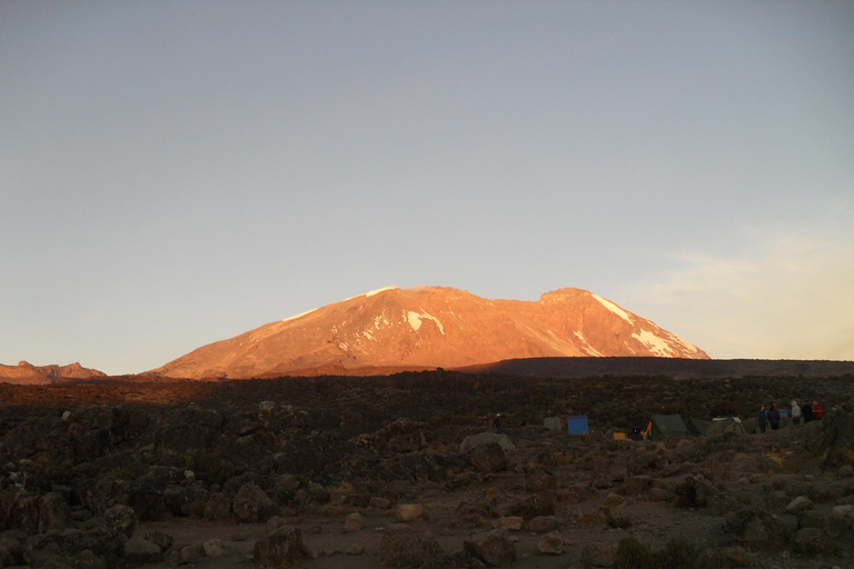 Kilimangiaro: scalata di 7 giorni della Machame Route con le guide