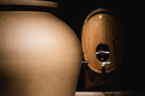 Saint-Nicolas-de-Bourgueil: Food and Wine Pairing Tour