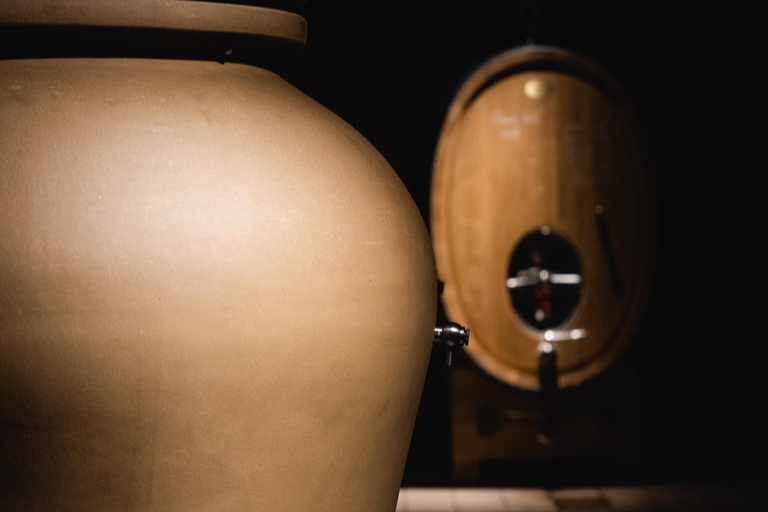 Saint-Nicolas-de-Bourgueil: Food and Wine Pairing Tour