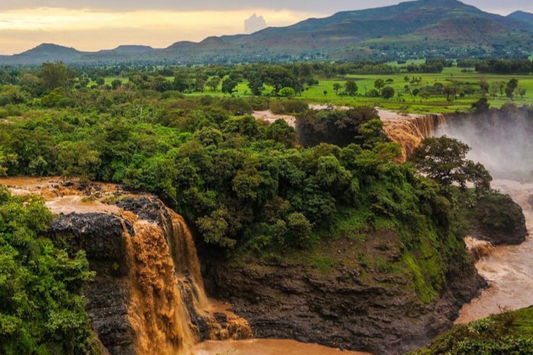 Ethiopia: 5-Day Ultimate Safari Expedition Guided Tour