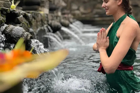 Ubud : Private Tour Waterfalls & Temple With Rice Terrace Private Tour With Spesial Group ( Exluded Entry Ticket )