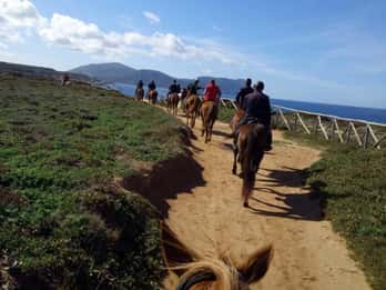 Alghero: horseback riding for experts in Lake Baratz
