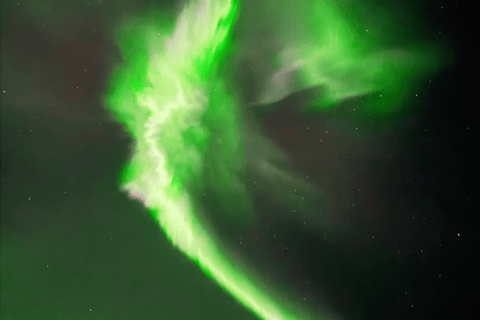 Saariselkä: tour fotografico privato dell'aurora boreale