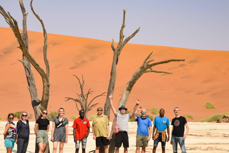 Swakopmund: Namib Desert Coast Adventure Tour