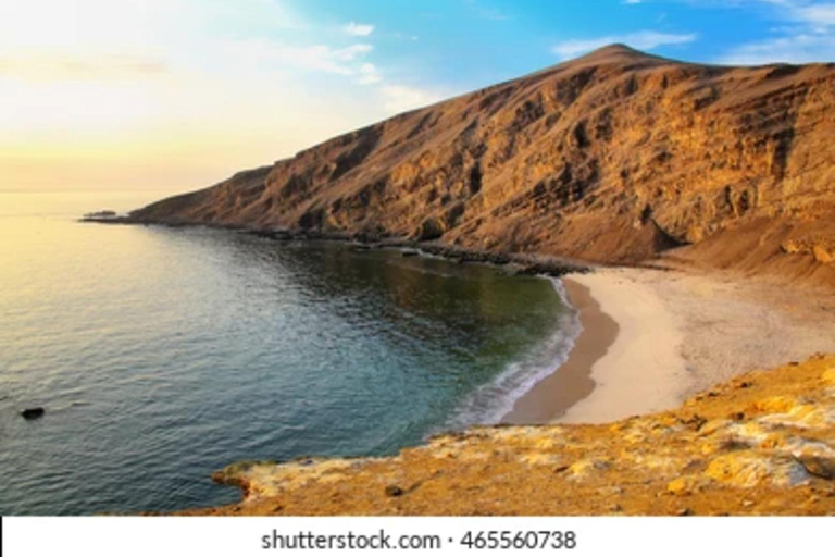 Réserve de Paracas : paysages, faune et histoire