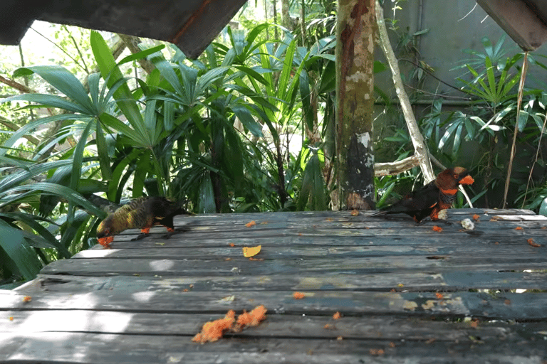 Cebu Safari: Experience Wildlife Up Close