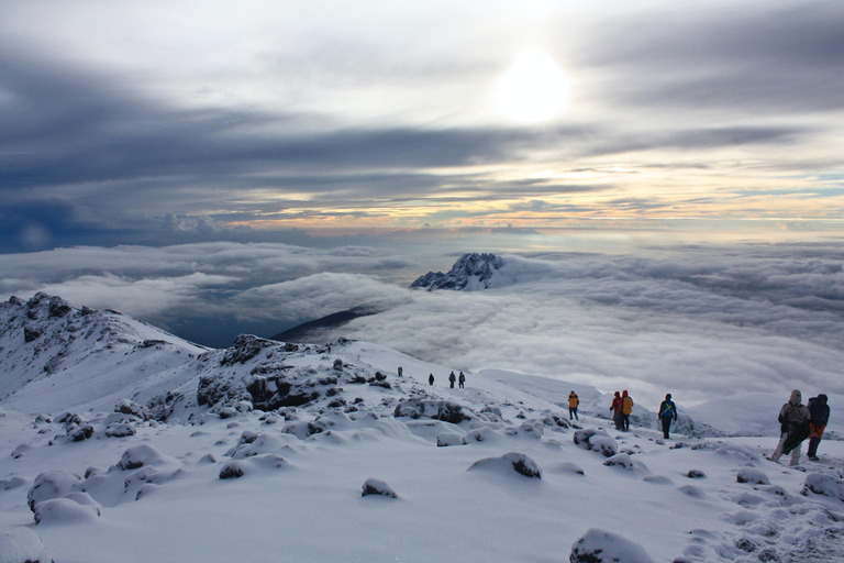 6 giorni di scalata del Kilimangiaro attraverso la via Machame