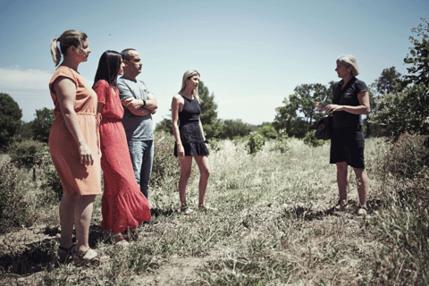 Avignon : Jornada completa Trufas y Vinos de Chateauneuf-du-Pape