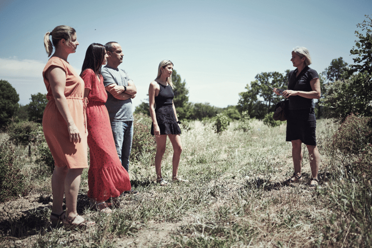 Avignon: dia inteiro de trufas e vinhos Chateauneuf-du-Pape