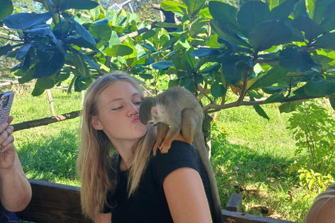 Puerto Plata: Damajagua Falls and City Tour, with Lunch Puerto Plata: Damajagua Waterfalls and City Tour, with Lunch