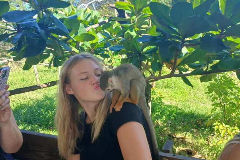 Puerto Plata: Damajagua Falls and City Tour, with Lunch Puerto Plata: Damajagua Waterfalls and City Tour, with Lunch