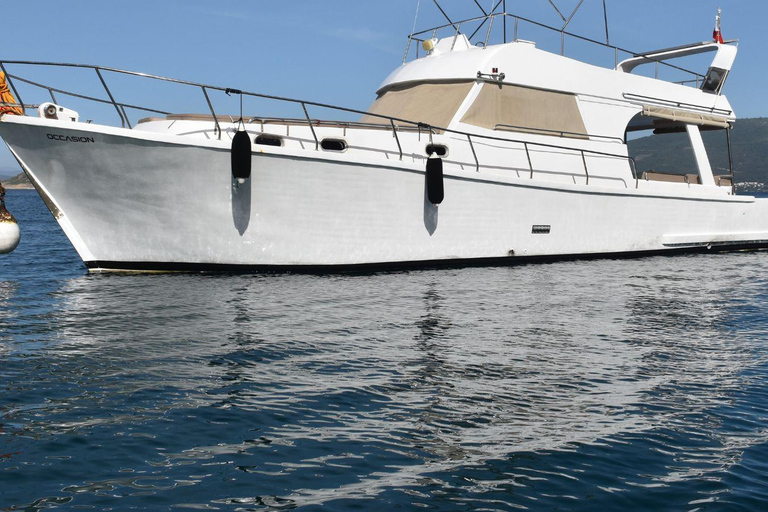 Discover Bodrum's Hidden Gems on a Private 3-Hour Yacht Trip