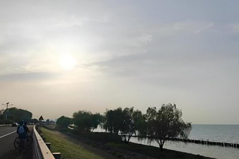 Shanghai: Huzhou Taihu Lake Views & Paddling Day Trip