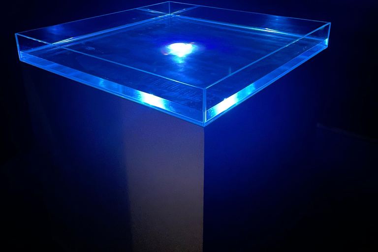 New Art Centre: rondleiding