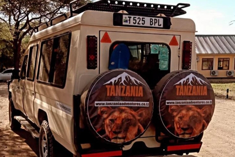 Los Mejores Paquetes de Safaris de Camping Económicos en Tanzania