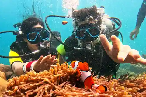 Phuket Diving Maithon Island Small Group or Snorkeling