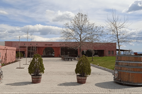 Saloniki: Naousa Wine Region Prywatna jednodniowa wycieczka