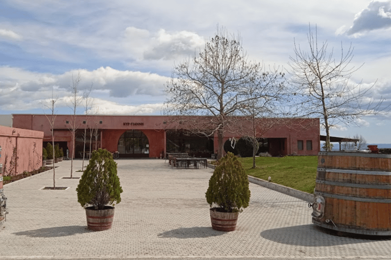 Saloniki: Naousa Wine Region Prywatna jednodniowa wycieczka