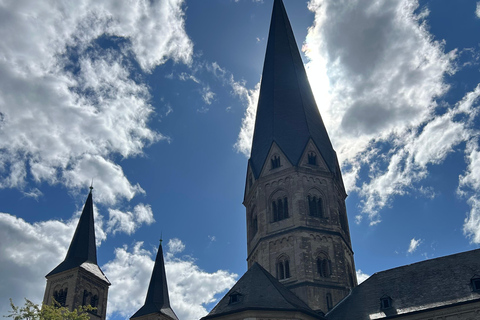 Excursion to Bonn by train from Cologne