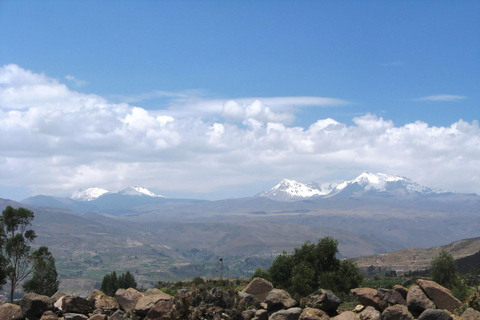 Excursão de dois dias ao Colca Canyon, terminando em Arequipa