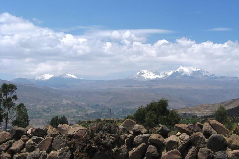 Excursão de dois dias ao Colca Canyon, terminando em Arequipa