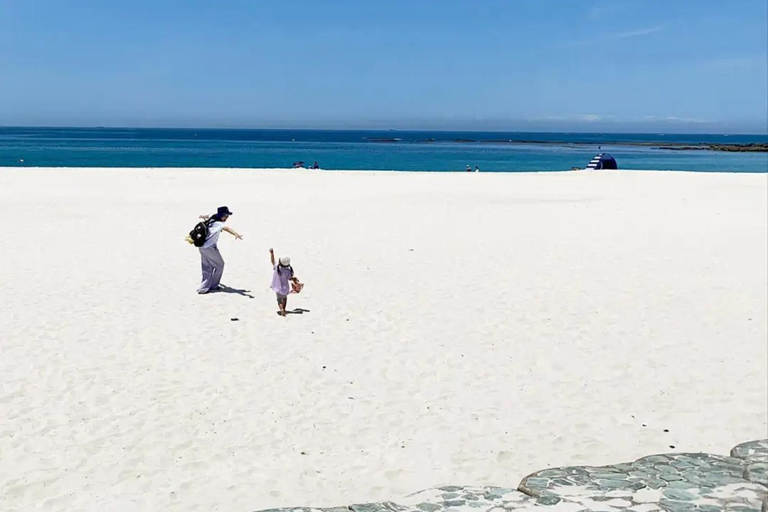 From Osaka/Nagoya: 2-Day Wakayama & Kii Peninsula Trip