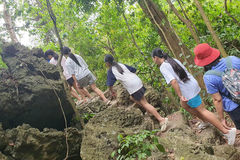 Cat Ba: National Park Guided Trekking Tour with Lunch