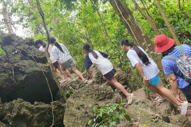 Cat Ba: National Park Guided Trekking Tour with Lunch