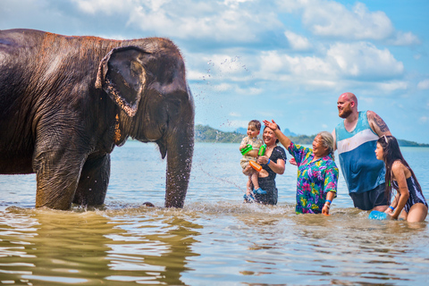 Phuket: Half‑Day Elephant Care Experience Including Lunch
