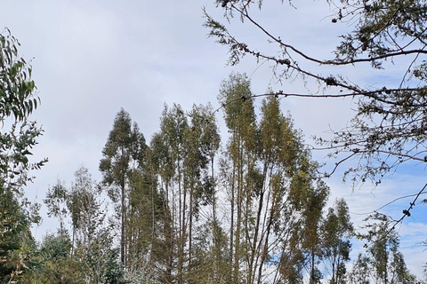 4 Ruins City Bike Tour in Cusco & Yunkaypata Valley