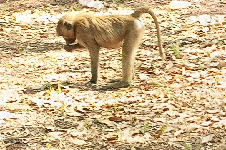 Accra Safari &amp; Boat Cruise - całodniowa wycieczka prywatna