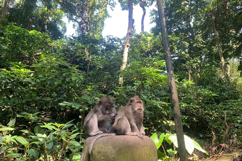 Bali Ubud Tour Monkey Forest, Waterfall, Temple & Rice Field Private Tour With Entrance Fee Tickets