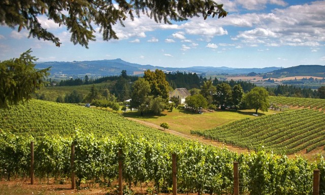 Visit Willamette Valley Wine Tour A journey for the senses in McMinnville, Oregon