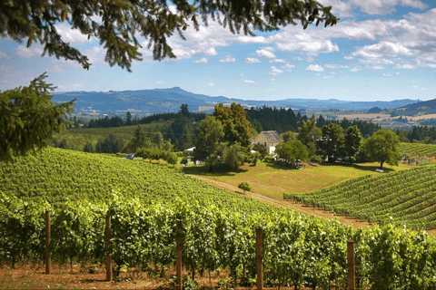 Tour de vinhos em Willamette Valley: Uma viagem para os sentidos